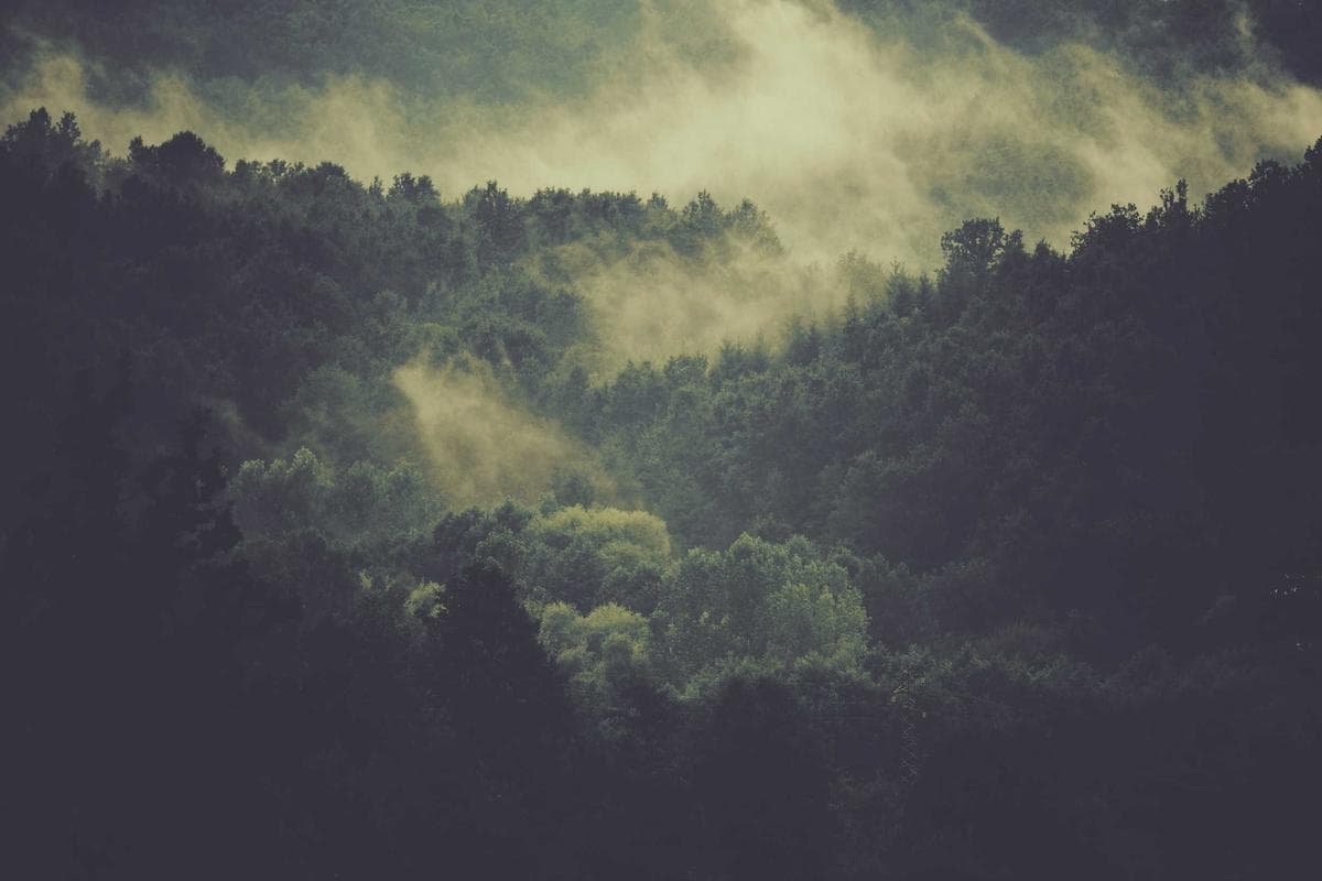 Longji Rice Terraces in Guilin